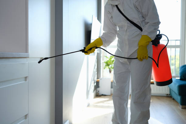 Best DIY Mold Remediation Support Services in Rainbow Lakes Estates, FL