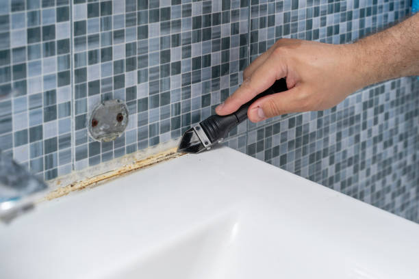 Best Residential Mold Remediation in Rainbow Lakes Estates, FL